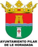 Ayuntamiento Help Pilar de la Horadada